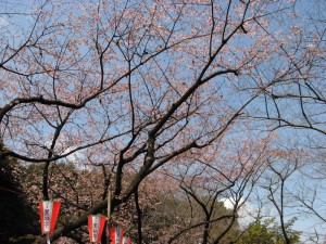 img 1299 300x225 The Trip Part 8: Japan 101
